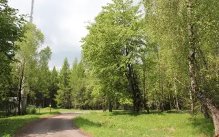 Právní a expertní obrana proti rizikové těžbě lithia v Krušných horách