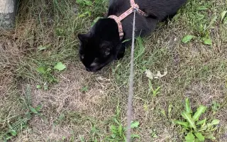 Úžasná Rozinka, která celý život pomáhala, nyní sama potřebuje pomoc