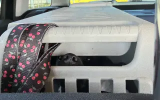 Pomozte nám pořídit útulkové auto pro převozy zvířátek v nouzi
