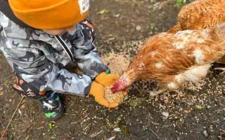 Krmení a seno pro zachráněná zvířata