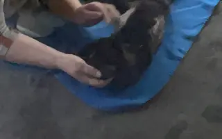 Pomozte nám zachránit Centrum Bermanka v Čakovicích