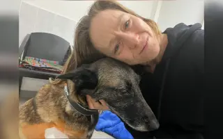 Podejme Radeše pomocnou ruku pro Mišunky boj s nemocí