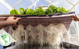 Podpořte projekt "Z vody roste jídlo"