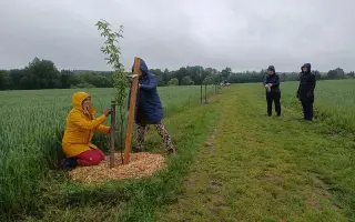 Pomozte stromům růst