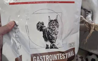 Prosba o příspěvek na nákup krmiva a steliva pro kočičky z Píšánku