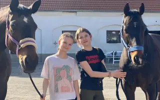 Důstojný život pro naše koňské kamarády