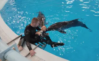 Delfinoterapie pro Ríšu