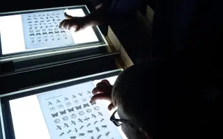 Auto, které přiveze pomoc lidem se zrakovým postižením