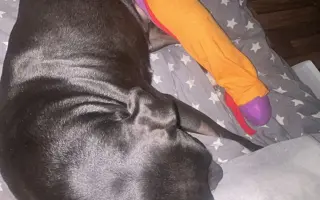 (⁠✿⁠ ⁠♡⁠‿⁠♡⁠)  Pro Koru, aby mohla opět běhat