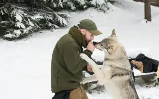 Zachraňme Degase: Vlčák s velkým srdcem bojuje s krutou nemocí