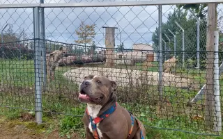 Pomozme Ele opět poznávat svět