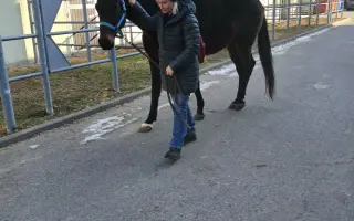 Operace pro Nitise - šance k jeho plnému uzdravení