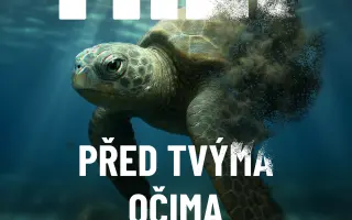 Pomoc obětem hurikánu Beryl