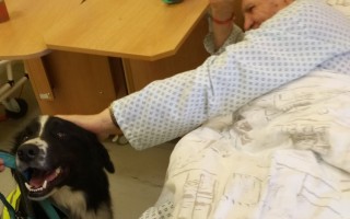 Canisterapie CANTES v krajích ČR jako sociální rehabilitace