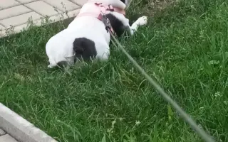 Zachráňte Marilyn bojující s rakovinou