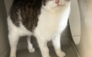 Pomohli jste Riovi zpátky na nohy