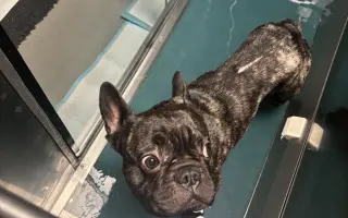 Pomozme Calvinovi zpět na nožičky