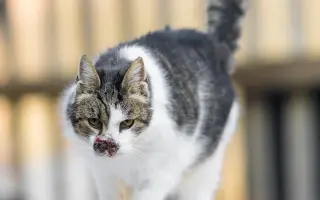 Filípek chce žít: pomoz mu porazit nádor