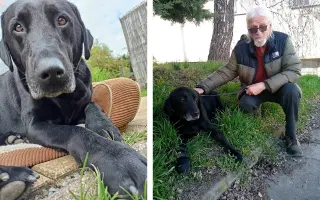 Prosím, pomozte Joshuovi bojovat s cukrovkou.