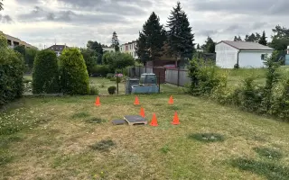 Pooperační péče pro Siriho