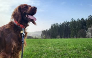 Mia a její naděje na zdravější budoucnost