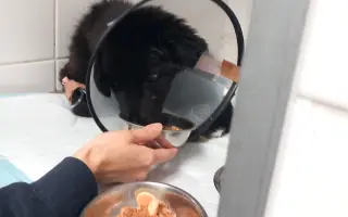 Pomoc pro malinkou Meggie