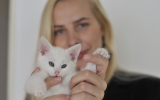 Vydejte se mnou Devátý život a podpořte nemocné kočky