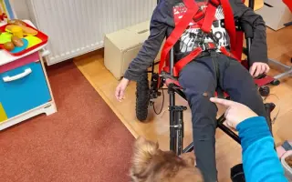Canisterapeutický pobyt pro děti s postižením
