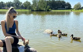 Pomozte Kessynce znovu se postavit na všechny čtyři 🐾