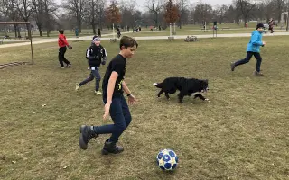 Pomozte nám zachránit Douggyho: Podpořte jeho operaci!
