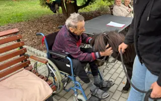 Pomozme třem statečným poníkům ke zdraví, které si sami vyběhat nemohou