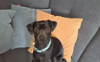 Záchrana života Kubíčka