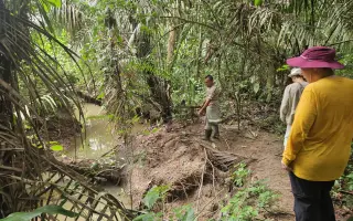 Pomozte kmeni huni kuin postavit se na vlastní nohy