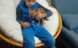 Pomohli jste Matyáškovi vyrazit na dětský tábor