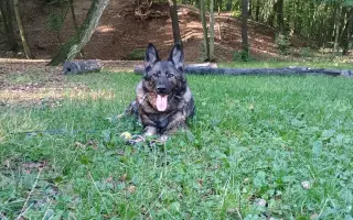 Pomoc Furině v boji s lupusem (SLE)