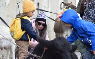 My zachraňujeme zvířata, ony mohou pomáhat Vám a Vašim blízkým