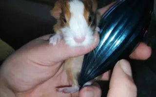 Podpora pro Pavlínu, která sama vychovává dceru Káju a léčí se s rakovinou