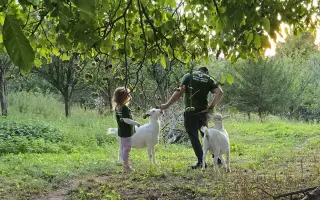 Zvířata přišla o život – my o kus srdce. Podpořte záchranu farmy po útoku psů.