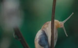 Podpořte film PORTRÉT VODY v cílové rovince!