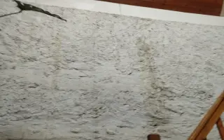 Zachraňme střechu Nadace Josefa Plívy