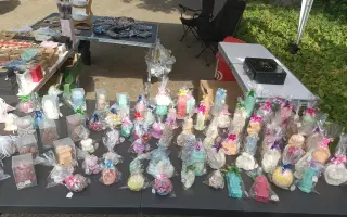 Zachraňte auto pro chráněnou dílnu FELIS