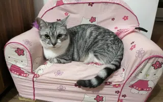 Daisy bojuje o život. Pomozme jí znovu dýchat