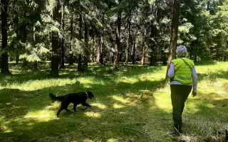 GPS zařízení pro psovody a jejich záchranářské psy