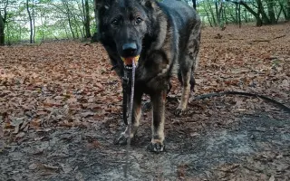 Pomoc Furině v boji s lupusem (SLE)