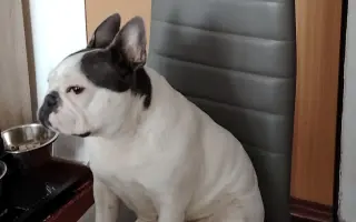 Zachráňte Marilyn bojující s rakovinou