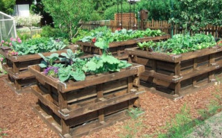 Otevřete se mnou Zahradní Montessori klub pro děti a seniory