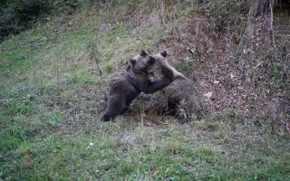 Z nuly zpět za hledáček - aneb nový začátek po velkém pádu