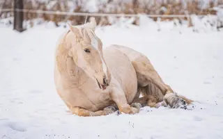 Knížka, která rozzáří dětské oči