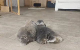 Pomozme Moonie zvládnout léčbu