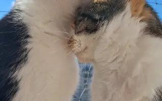 8 nalezených Lásek